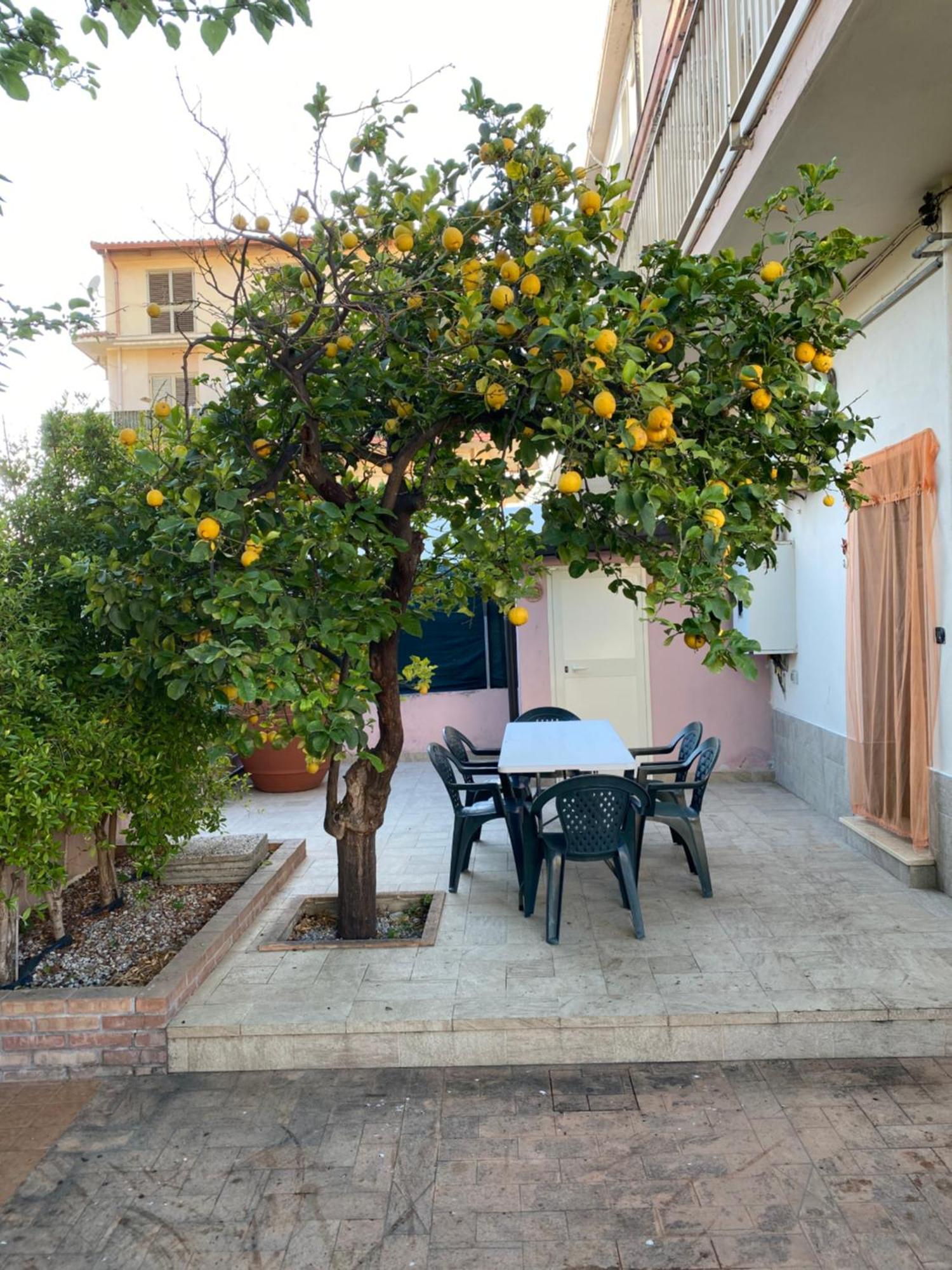 فيلا L'Albero Di Limoni Sul Mare Di Pizzo المظهر الخارجي الصورة