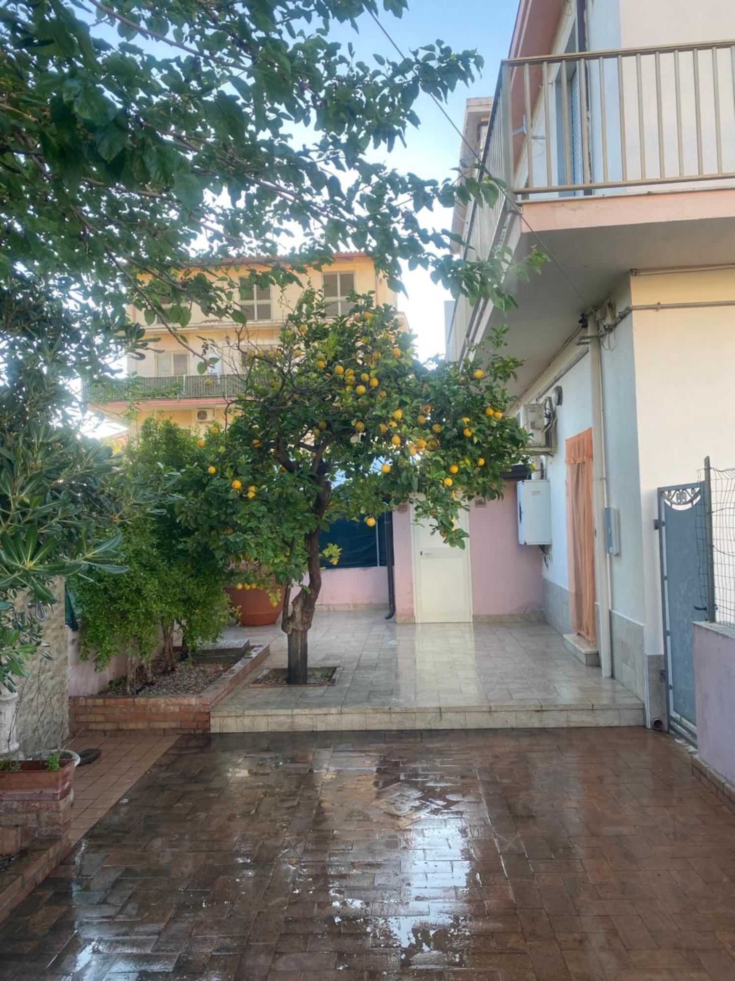 فيلا L'Albero Di Limoni Sul Mare Di Pizzo المظهر الخارجي الصورة